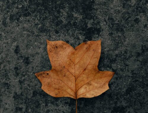 How to protect your jewelry in the summer?